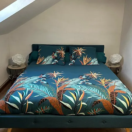 Apartment Le Cocon De Proche Europapark *