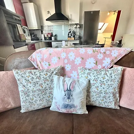 Le Cocon De Proche Europapark Apartment