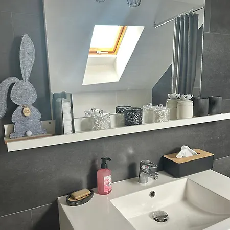 Apartment Le Cocon De Proche Europapark